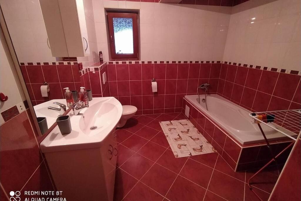 Ubytování Pod statkem Tichá Exteriér fotografie