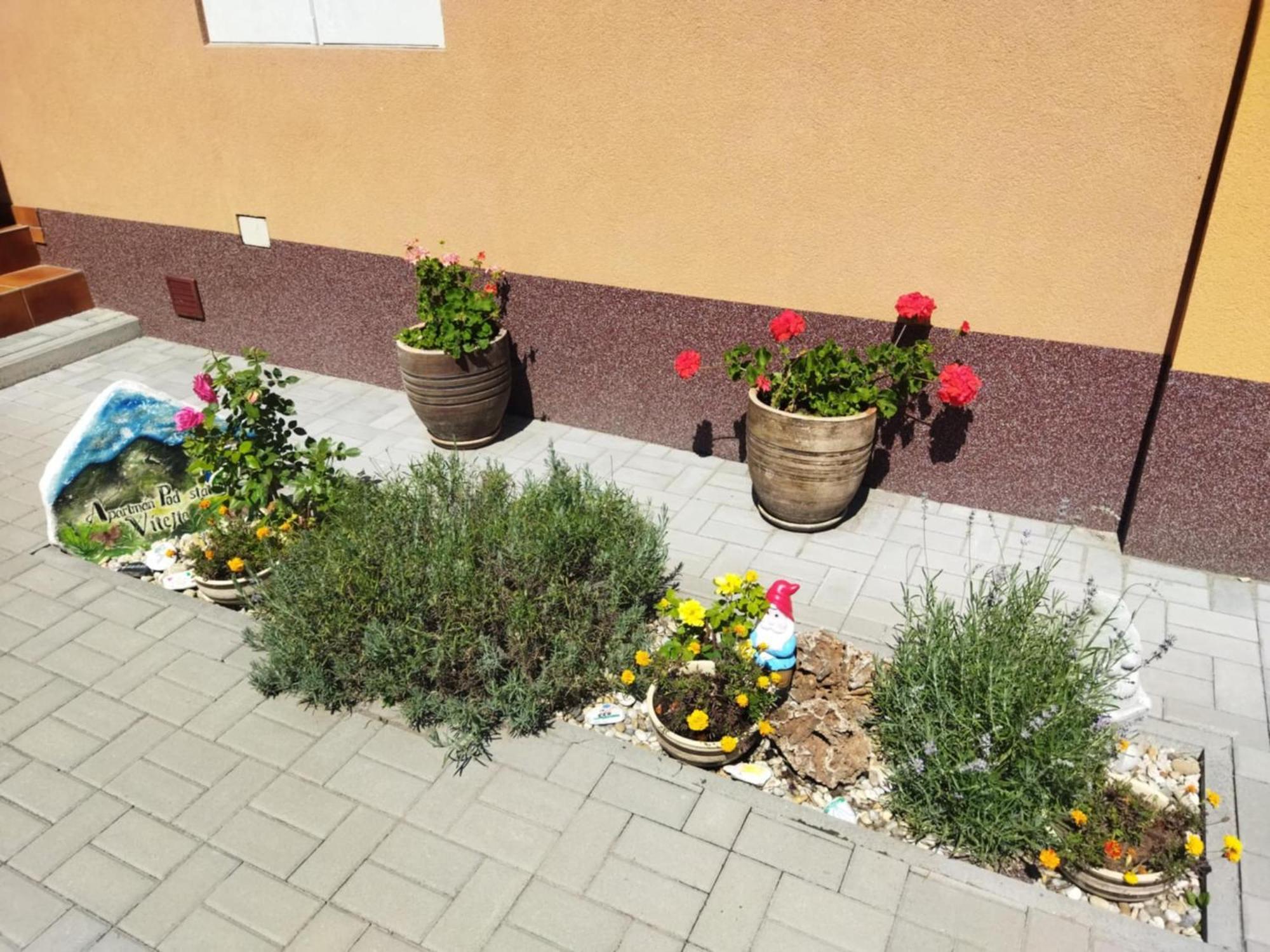 Ubytování Pod statkem Tichá Exteriér fotografie